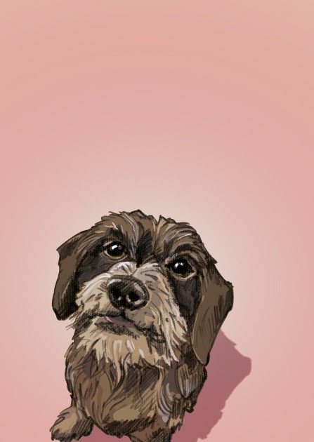 Postkarte - illi - ROSA