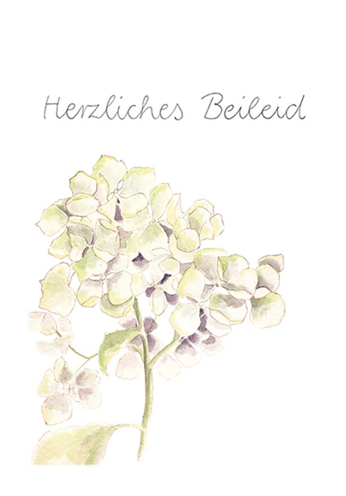 *DK C6 - Tabea Güttner - Herzliches Beileid