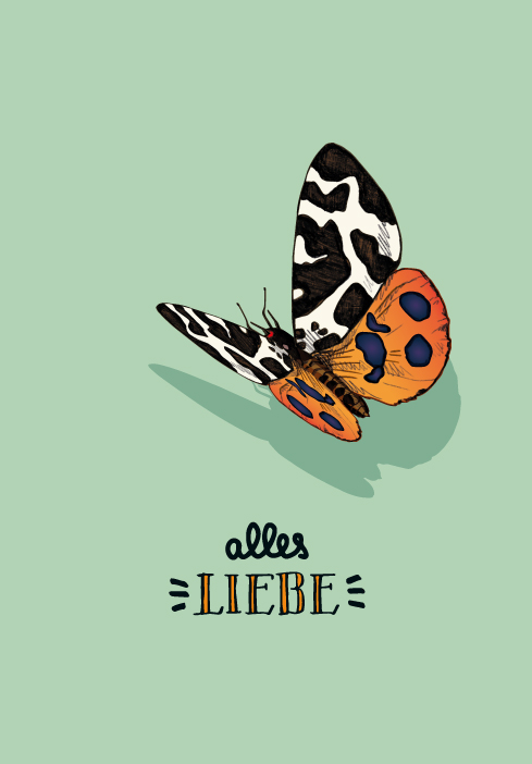 *DK B6 - illi - Paru alles Liebe