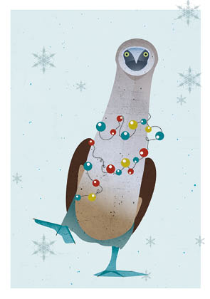 Postkarte - Daria Ivanova - Blaufußtölpel