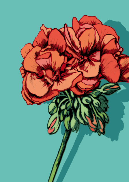 Postcard - illi - Anna