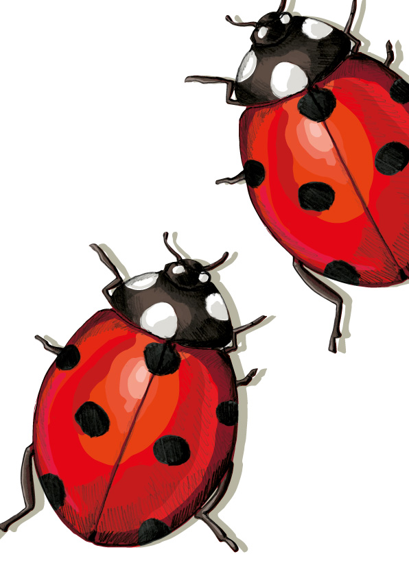 Postcard - illi - Marie and Sepp