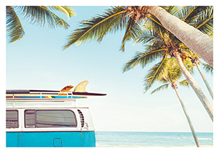 Postkarte - La Card - Beach bully