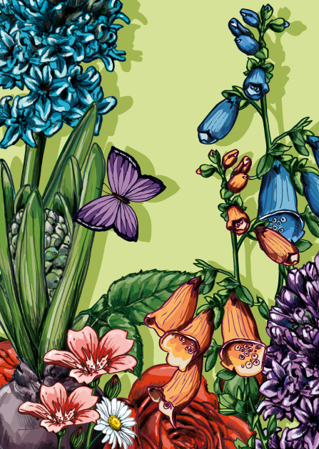 Postkarte - illi - TALIBOLA