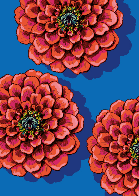 Postcard - illi - ZINNO