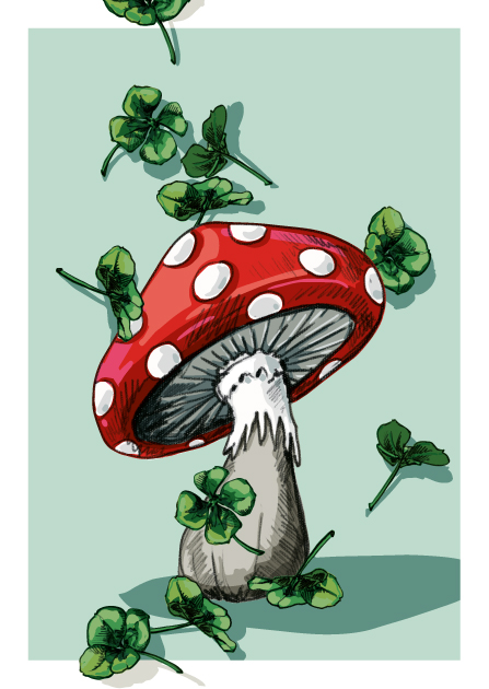 Postcard - illi - PEMO