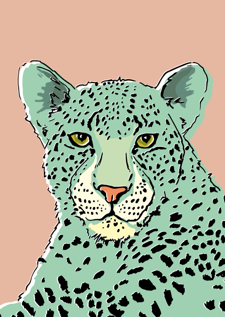 Postkarte - illi - Kimbu