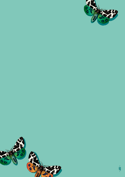 *Block A5 - illi - Paruparo