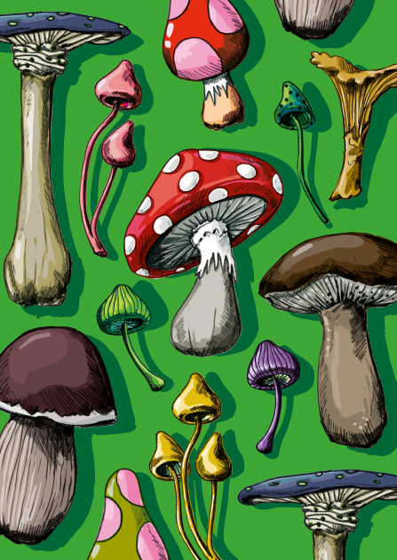 Postcard - illi - PIBAZ