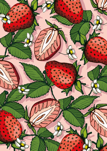 Postcard - illi - Edi