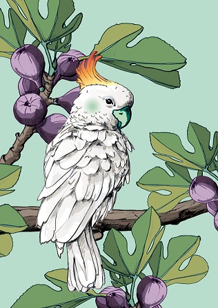 *Heft A5 - illi - Noni