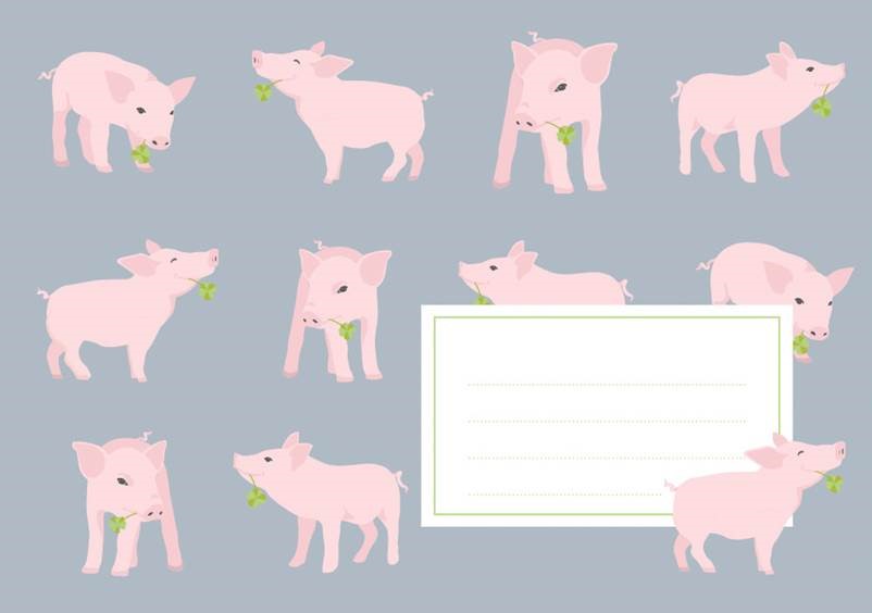 *Umschlag - crissXcross - Schwein