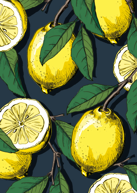 Postcard - illi - Zinba