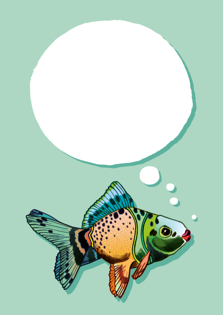 Postcard - illi - Balingo