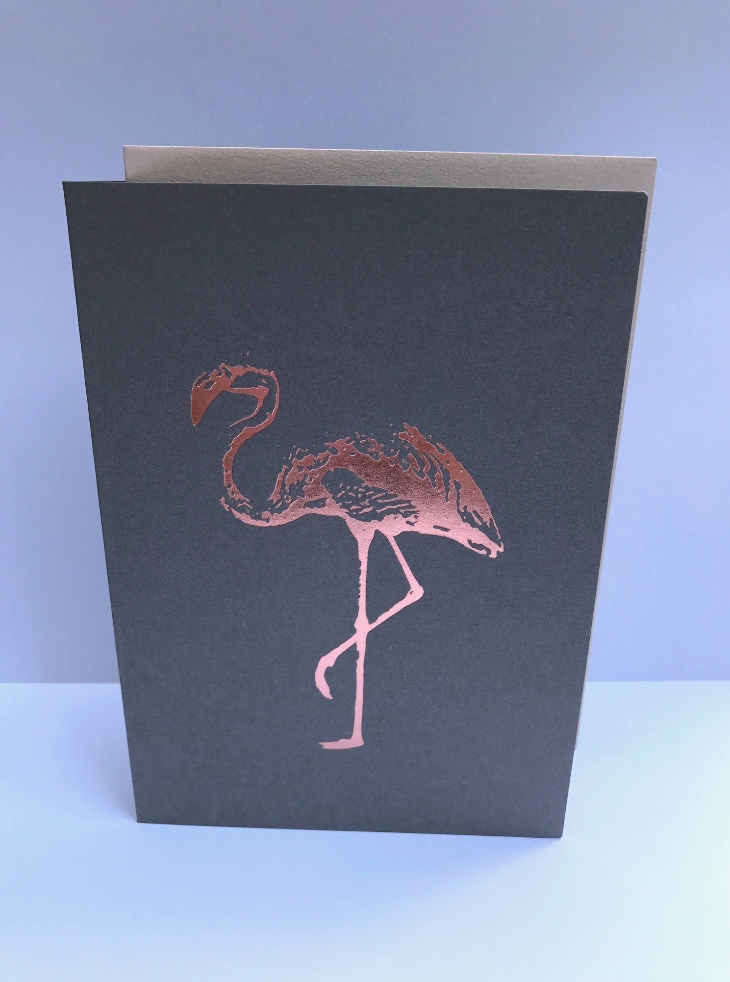 Doublecard C6 - pure - Flamingo