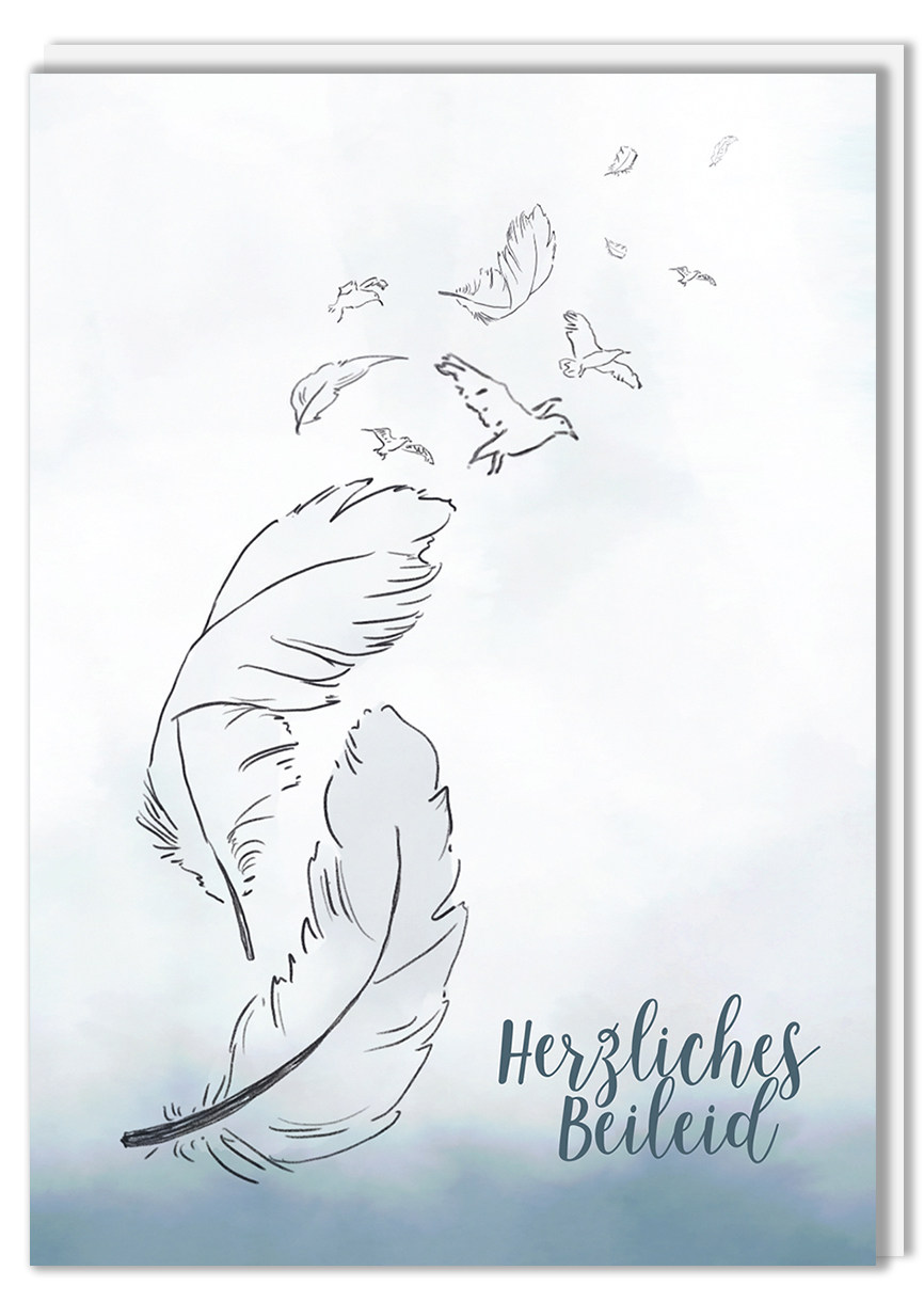 *DK C6 - m-illu - Vögel