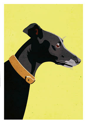 *PK - Daria Ivanova - Windhund