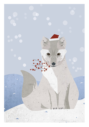 Postkarte - Daria Ivanova - Polarfuchs