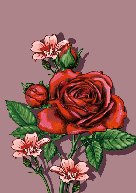 Postcard - illi - BALINA