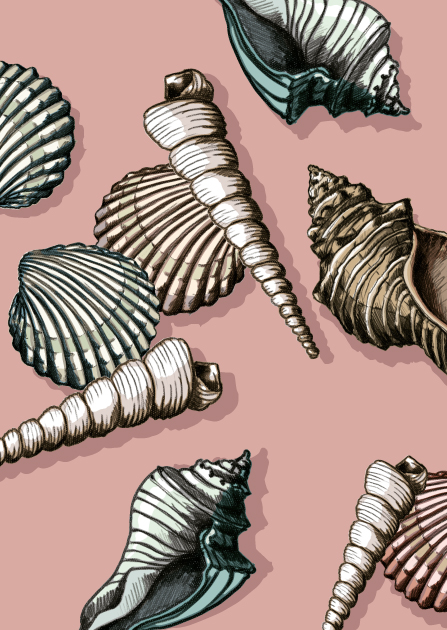 Postcard - illi - Vooca