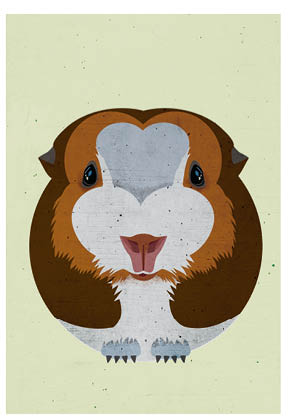 Postkarte - Daria Ivanova - Meerschweinchen